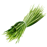 Pflanzenfasern